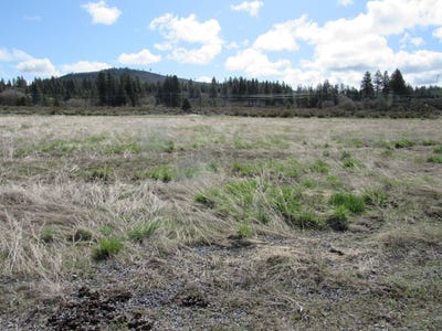 /international/us/cattle-drive-chiloquin-or-110106039206/