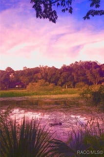 /international/us/5988-n-brookgreen-drive-crystal-river-fl-110101256216/?lang=en