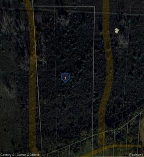 /international/us/argonne-avenue-brownstown-twp-mi-110102695236/