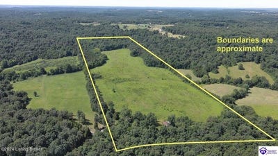/international/us/310-alvie-road-payneville-ky-110096961952/
