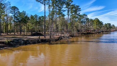 /international/us/tbd-lot-3-county-road-3545-joaquin-tx-110095030588/