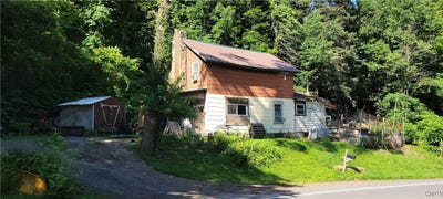 /international/us/1451-elizabethtown-road-german-flatts-ny-110100718625/