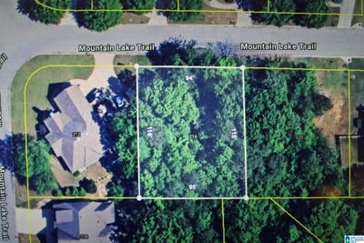 /international/us/216-mountain-lake-trail-lot-32-alabaster-al-110110355549/