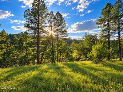 /international/us/1248-s-running-elk-road-payson-az-110120121099/