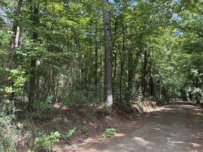 /international/us/967-county-road-2603-shelbyville-tx-110109185489/