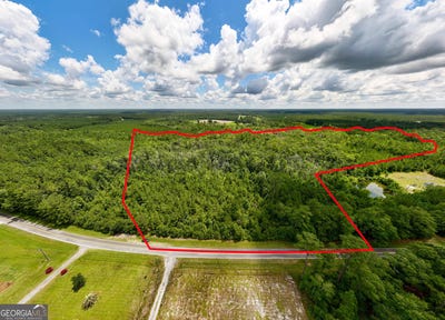 /international/us/23-15-acres-spanish-creek-folkston-ga-110099207808/