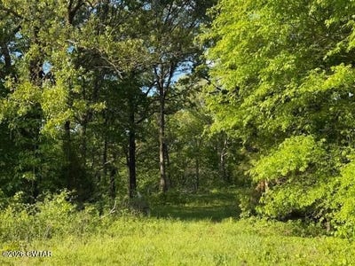 /international/us/mcbride-cemetery-road-sardis-tn-110104056638/