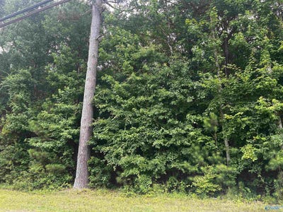 /international/us/7-9-acres-old-moulton-road-decatur-al-110092849466/