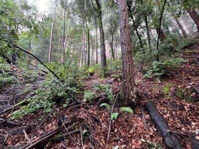 /international/us/0-deer-trail-way-scotts-valley-ca-110100097547/