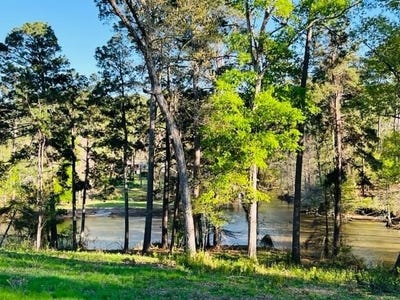 /international/us/280-time-drive-milam-tx-110105931108/