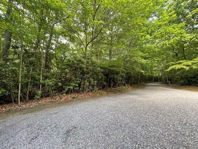 /international/us/hickory-nut-hollar-lot-78-79-hillsville-va-110107213759/