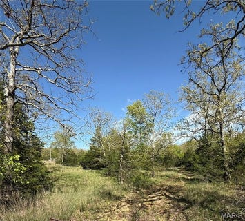 /international/us/149-n-roanoke-road-salem-mo-110107486332/