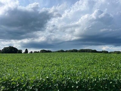 /international/us/gramer-road-webberville-mi-110107908371/