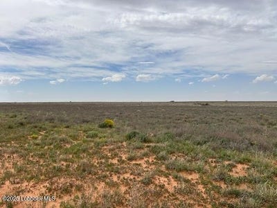 /international/us/0000-county-road-460-brownfield-tx-110099082207/