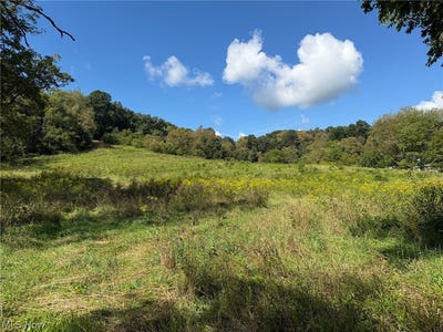 /international/us/fresno-road-carrollton-oh-110119785906/