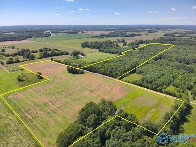 /international/us/47-acres-tanner-road-danville-al-110108534447/