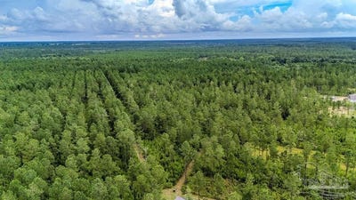 /international/us/55-sage-forest-ln-pace-fl-110101020303/