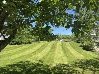 /international/us/n-washington-lot-17-versailles-in-110108544359/