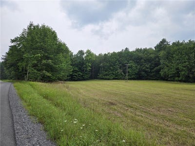 /international/us/lot-10-bull-hill-road-conesville-ny-110101548218/?lang=es