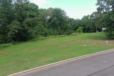 /international/us/77-brighton-pointe-heber-springs-ar-110120482508/