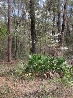 /international/us/18507-sw-67th-avenue-archer-fl-110098053786/?lang=zh-tw
