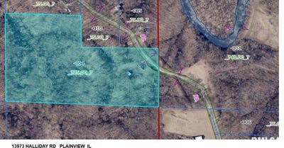 /international/us/13973-halliday-road-plainview-il-110099793899/