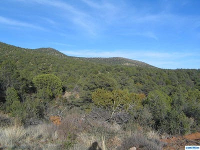 /international/us/camino-de-viento-road-silver-city-nm-110101804982/
