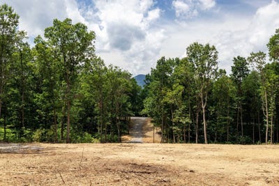 /international/us/15-mont-view-ln-luray-va-110101151399/