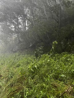 /international/us/0-bowling-creek-road-jackson-ky-110100718532/