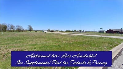 /international/us/16743-ashland-court-carlyle-il-110106819512/