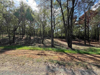 /international/us/288-co-rd-1123-vinemont-al-110103232417/