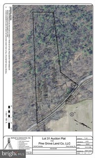 /international/us/00-lot-31-okefenoke-road-new-bloomfield-pa-110120508375/
