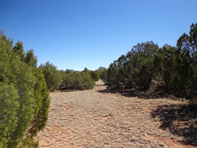 /international/us/tract-2b-camino-del-sol-nm-110120648145/