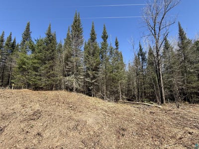 /international/us/79xx-e-county-rd-a-solon-springs-wi-110107542780/