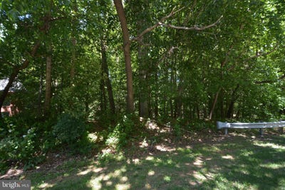 /international/us/democracy-boulevard-potomac-md-110108604430/