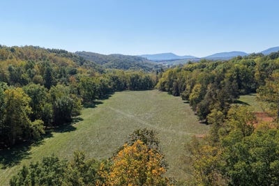 /international/us/flat-woods-rd-lexington-va-110120528935/