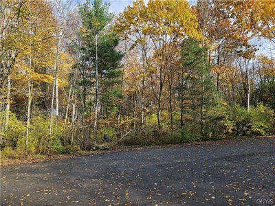 /international/us/birch-lane-clayton-ny-110119608805/