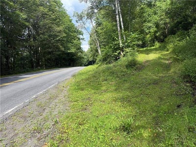 /international/us/co-hwy-48-oneonta-ny-110109914030/