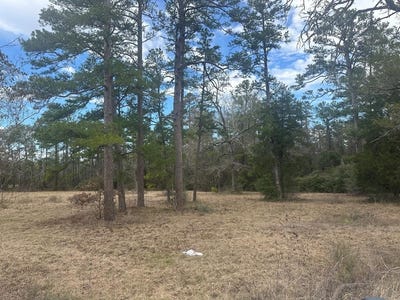 /international/us/k-57-hwy-94-apple-springs-tx-110106473702/