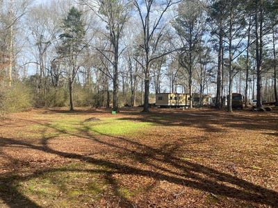 /international/us/3481-county-rd-81-abbeville-al-110100770164/