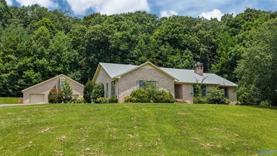/international/us/4486-county-road-458-collinsville-al-110108796489/
