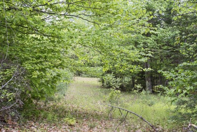 /international/us/m2-l21-2-s-ridge-road-palmyra-me-110108382912/