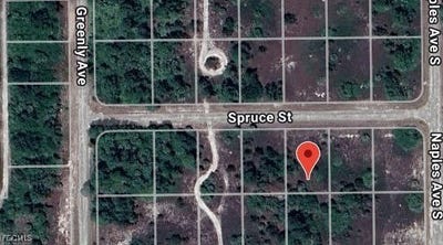 /international/us/1246-spruce-street-e-lehigh-acres-fl-110101062179/