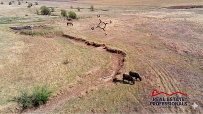 /international/us/chisholm-trail-dodge-city-ks-110107051667/