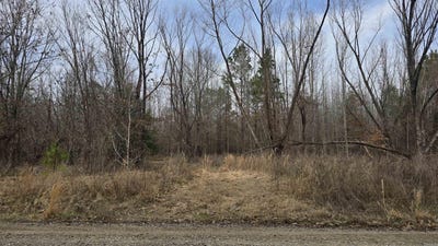 /international/us/williams-road-bald-knob-ar-110106004579/