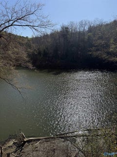 /international/us/county-road-3782-lot-11-arley-al-110106925481/