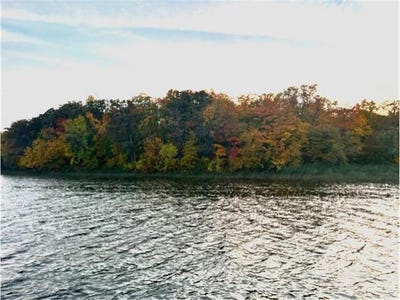/international/us/e-lake-lizzie-rd-lida-twp-mn-110100075335/?lang=zh-tw