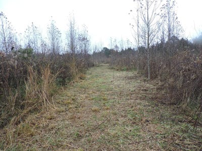 /international/us/off-hwy-378-waldron-ar-110104398913/