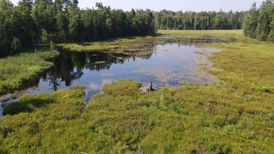 /international/us/0-moose-river-rd-port-leyden-ny-110099138951/?lang=zh-cn
