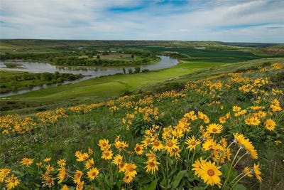 /international/us/653-millegan-road-great-falls-mt-110081884398/